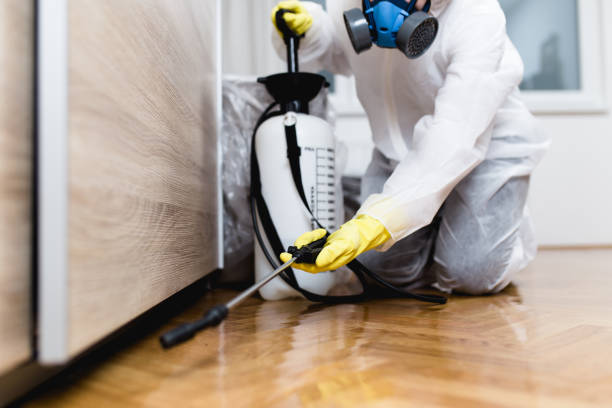 Best Pest Removal Services  in Show Low, AZ