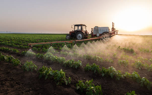 Best Best Pest Control Companies  in Show Low, AZ