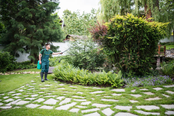Best Mosquito Control Services  in Show Low, AZ