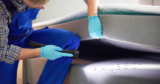 Best Pest Control Near Me  in Show Low, AZ
