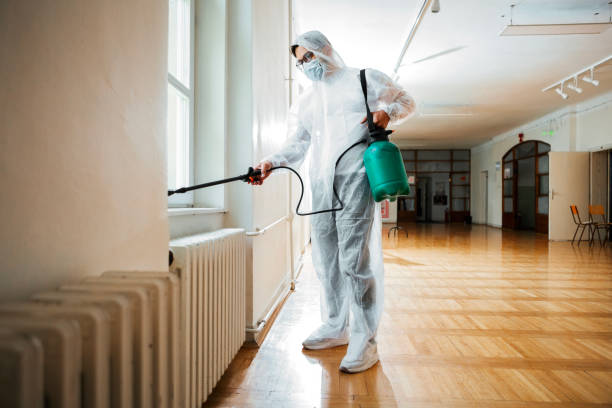 Best Local Pest Control Services  in Show Low, AZ