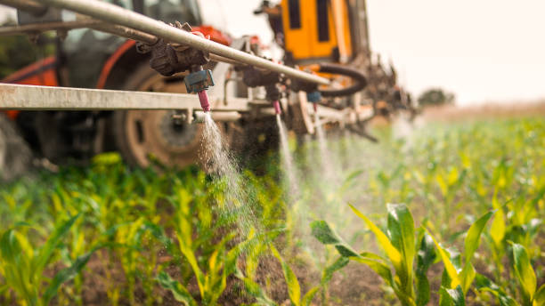 Best Pest Inspection Near Me  in Show Low, AZ