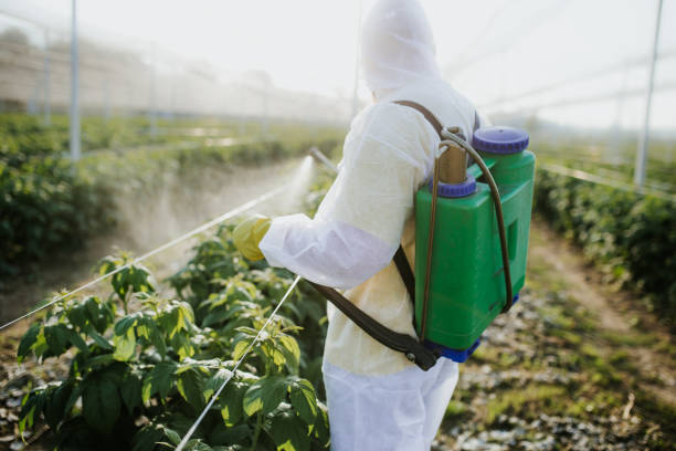  Show Low, AZ Pest Control Pros